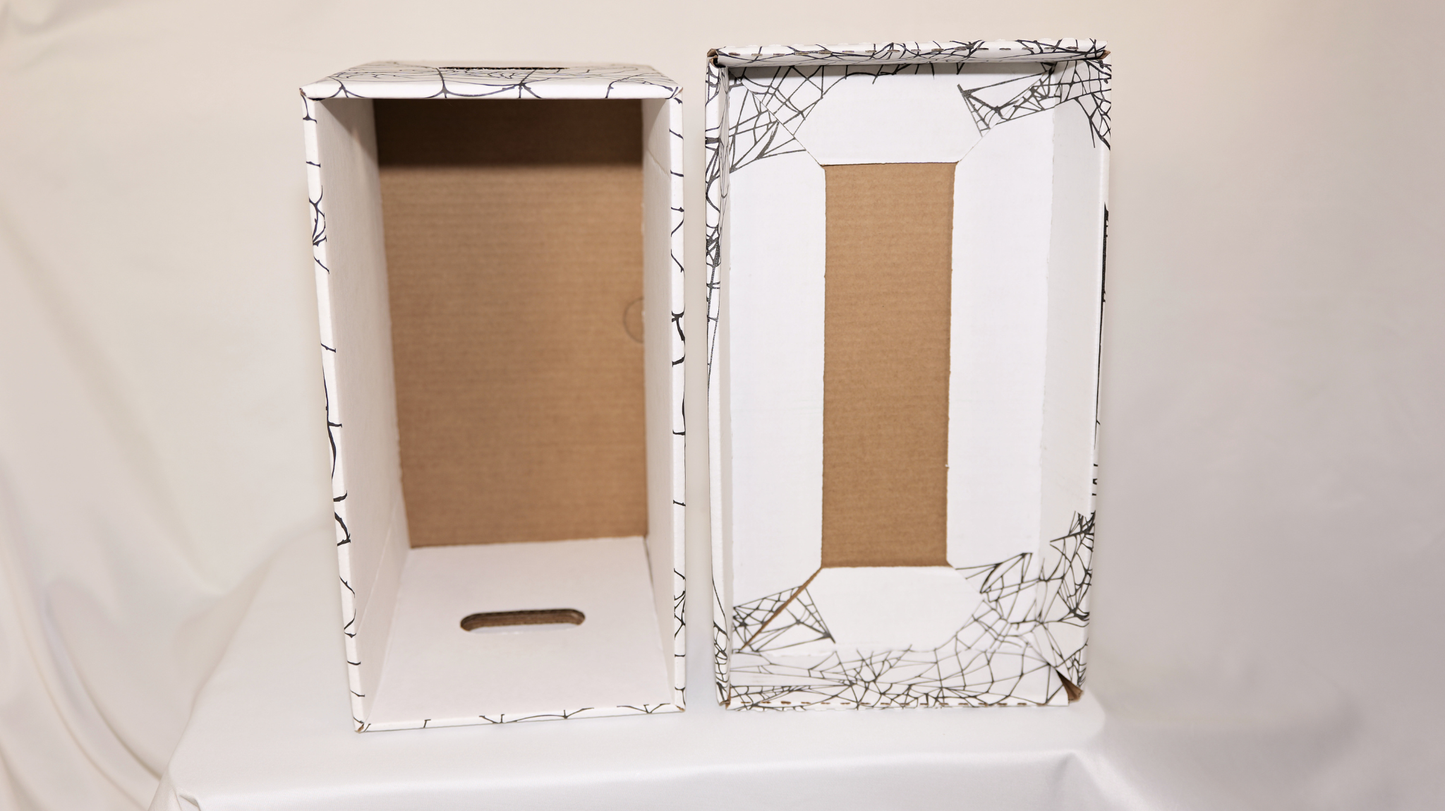 [COMING SOON] 3-Pack Short Comic Book Storage Box (Spiderweb)