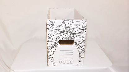 [COMING SOON] 3-Pack Short Comic Book Storage Box (Spiderweb)